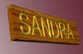 sandra-plank.jpg (94242 bytes)